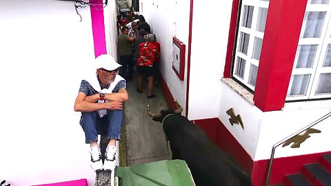 As Duas Marradas No Bairro Da Terra Chã - (Toiro 24 Ganadaria Olé Toiro)