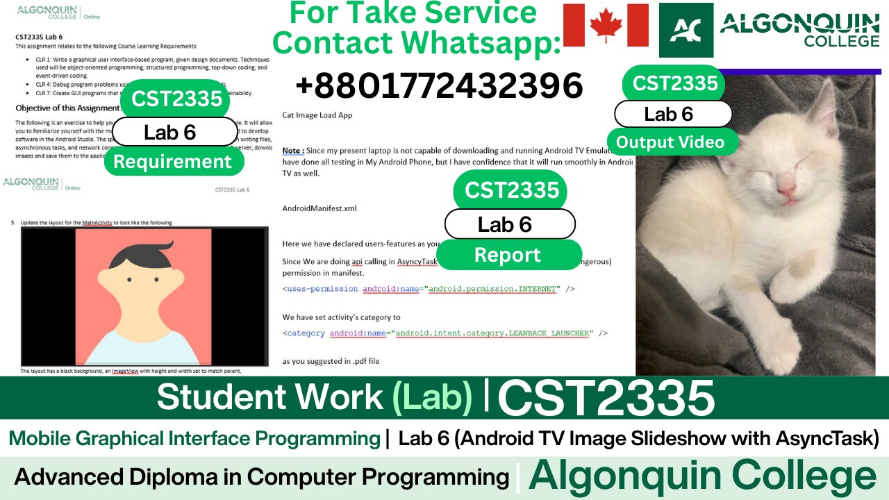 Student Work (𝐋𝐚𝐛 𝟔) | 𝐂𝐒𝐓𝟐𝟑𝟑𝟓 𝐋𝐚𝐛 𝟔 Cat Image Slideshow App Using AsyncTask| Algonquin College