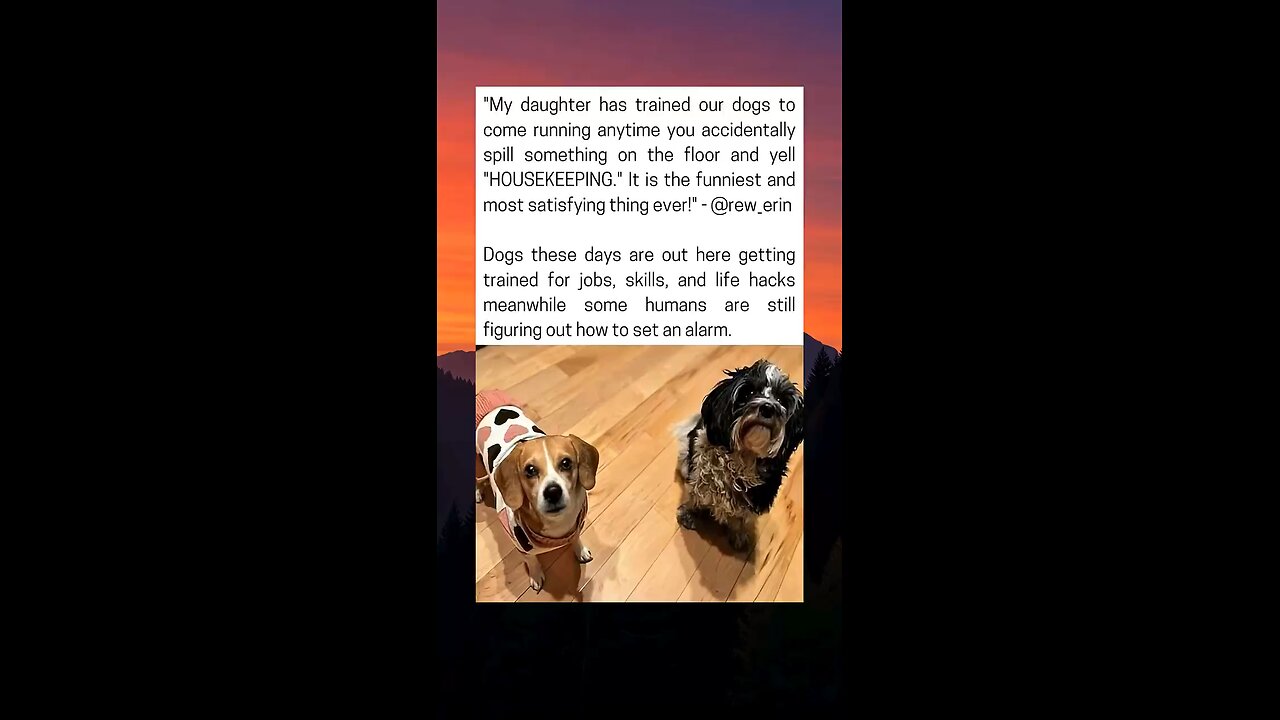 Dogs Master Hilarious Skill