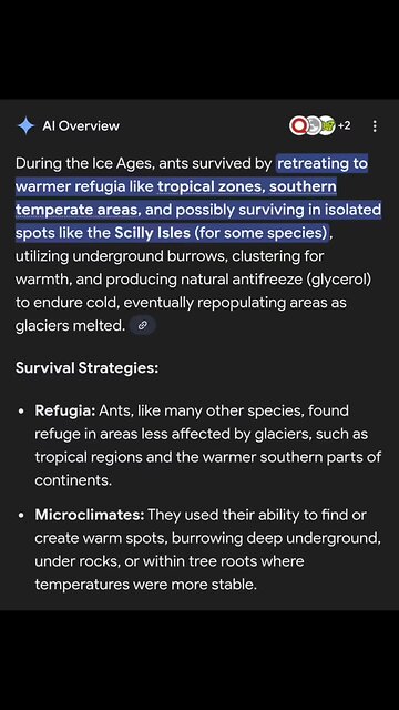 ICE AGE ANTS 🐜 on lily pads