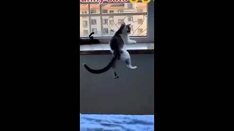 This is my style🐈🙄🤣