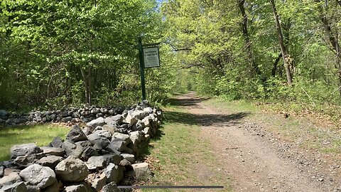 Medical Trauma walk and talk at MetFern Cemetery part 2