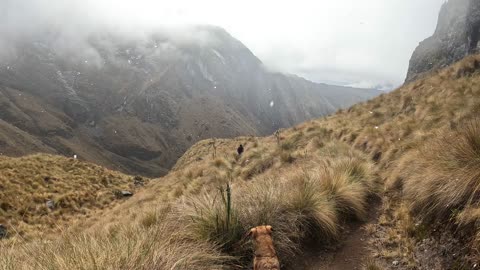 Walking in the snow in Nevado Ampay #andes #mountains #peru