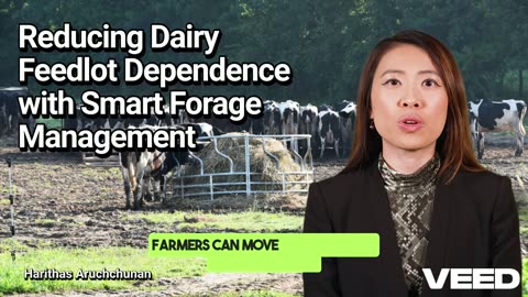 Transform Dairy Farming:Smart Forage Solutions