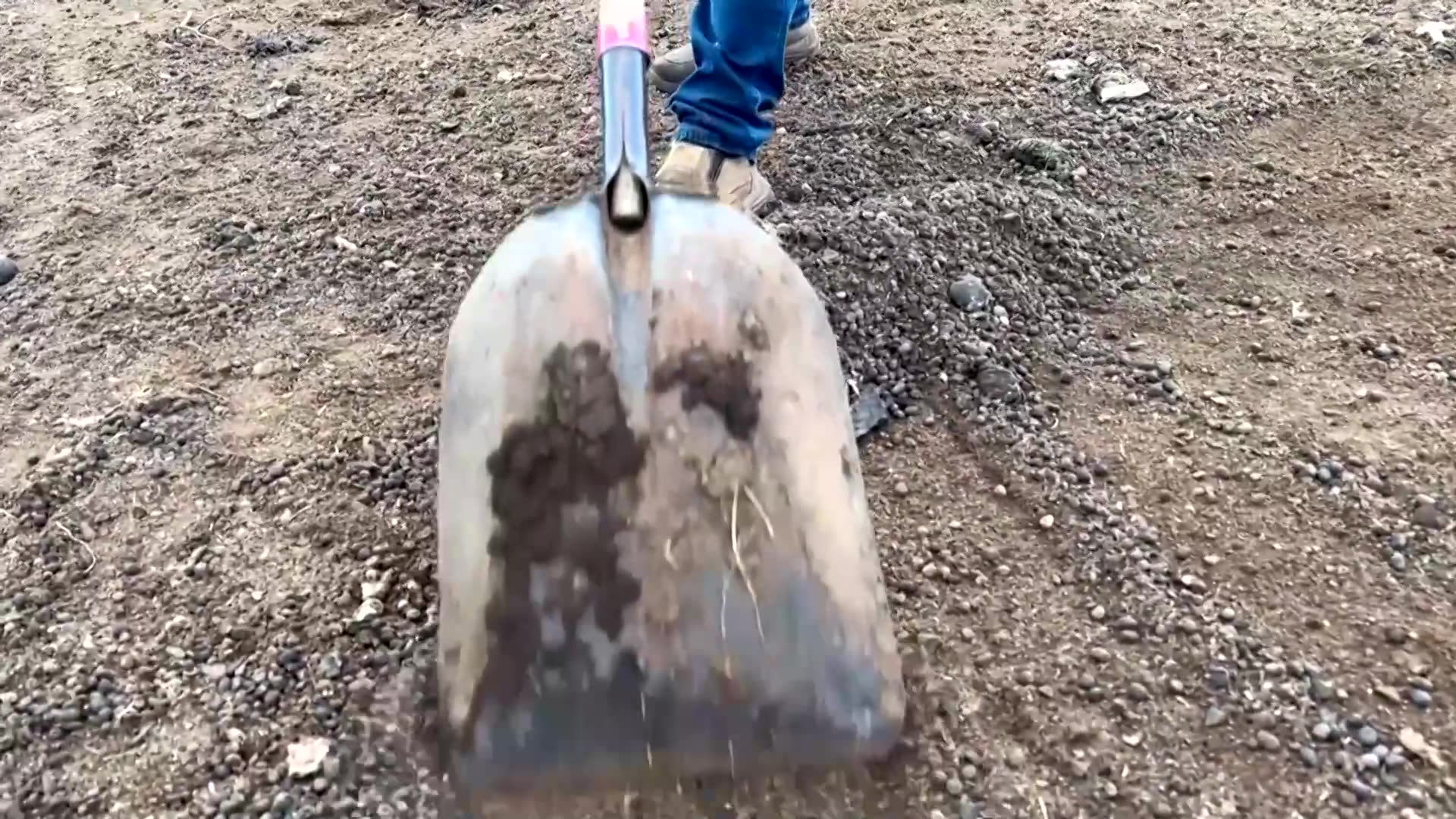 Chilean farmers power their home using sheep poop