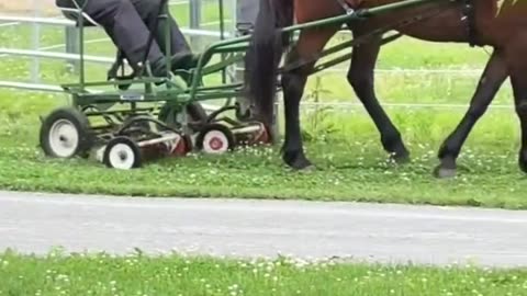 amish mower