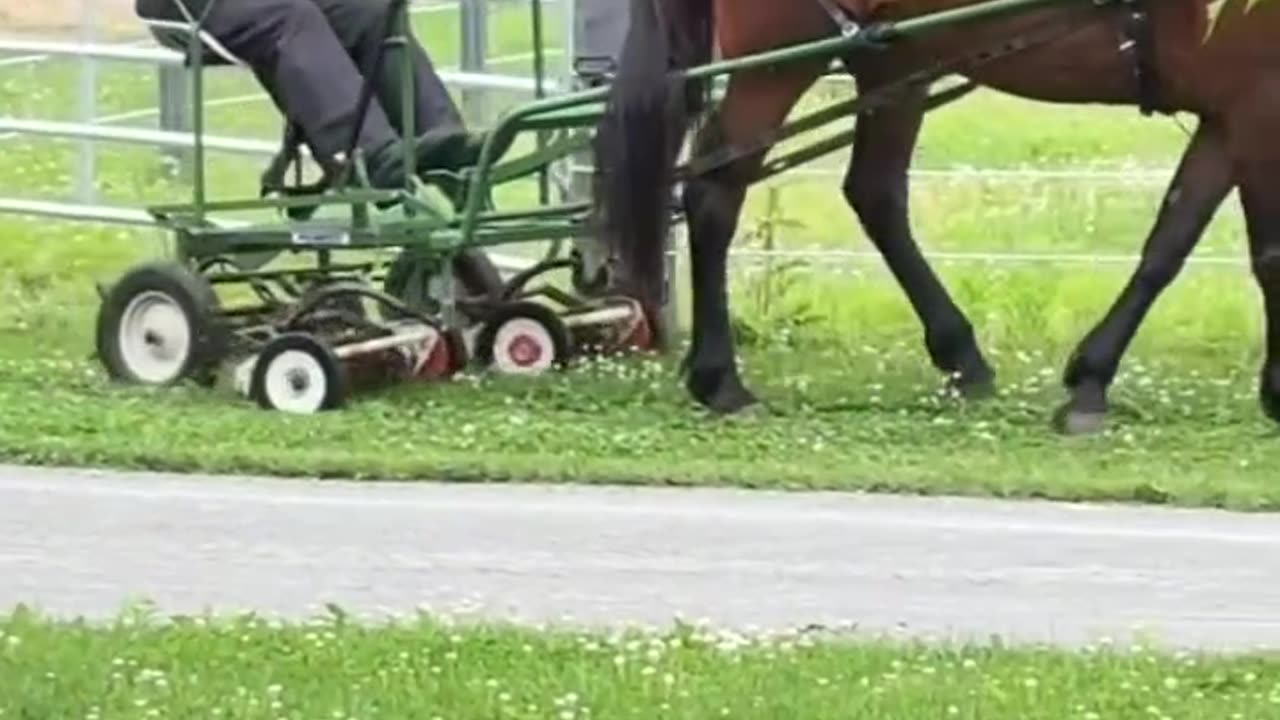 amish mower