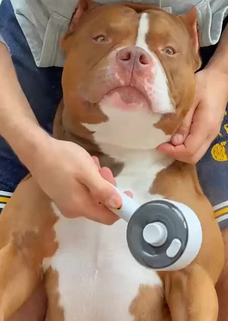 AI AUTOMATED DONE FOR YOU CRYPTO PROFITS