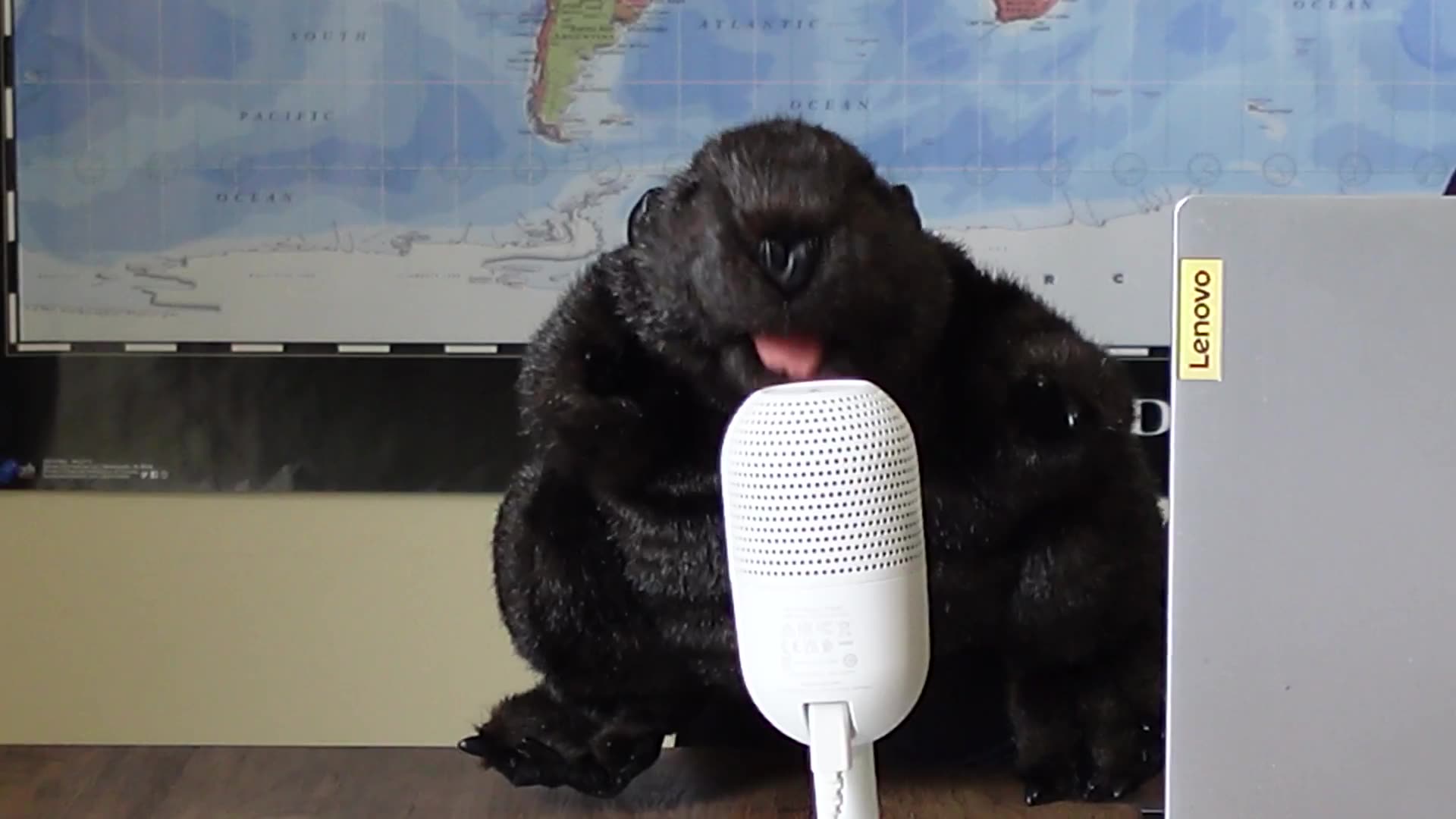 How Liberal Strategist bamboozled an election..