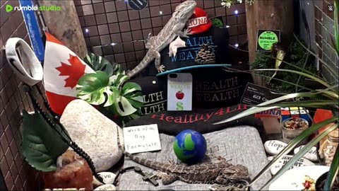 ⭕2025 Live Stream Day 15🔴 🍏Healthy4Life🐉 Mascots 🍎🐲 Meet Kobe & Health A Day In The Life Of Bearded Dragons🐲Day15🐉⭕Live🦎Stream