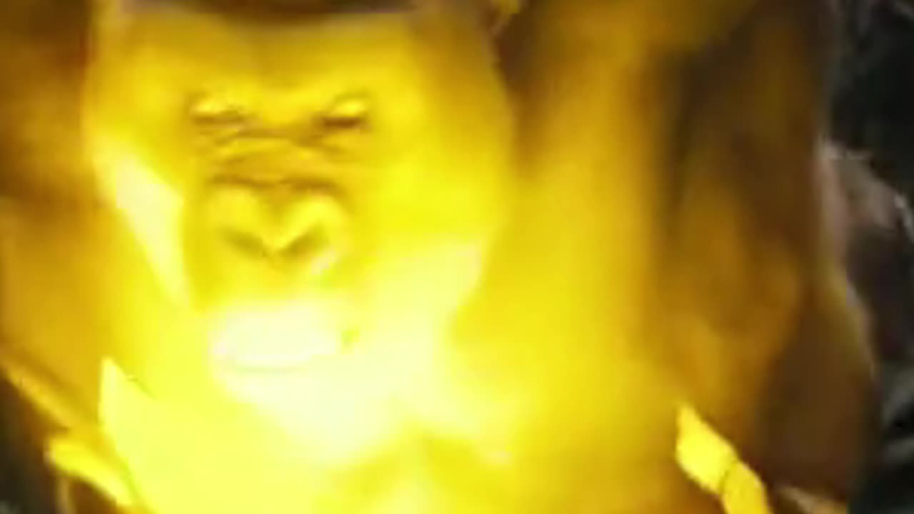 Gorilla