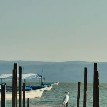 Wooden pier over a body of water