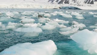 Climate Change Myths Part 1: Polar Bears, Arctic Ice, and Food Shortages