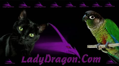 #LIVE - LADYDRAGON= PRESIDENT TRUMP ANNOUNCED A RARE EARTH DEAL WTH UKRAINE AND MORE