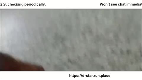 Installing Carpet Live on the Internet