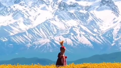 Short video good nature and beauty