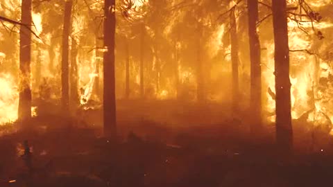 I WILL BE COMING AGAIN TO CLEAR MY NAME