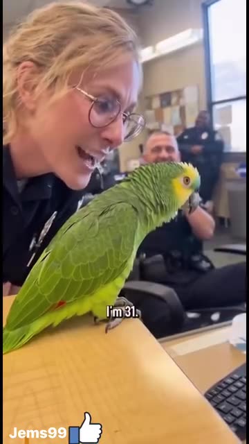 Parrot 🦜 funny video funny 😁 talk