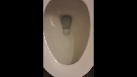 Fecal Matter Disruptors