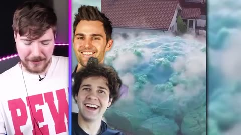 viral vine