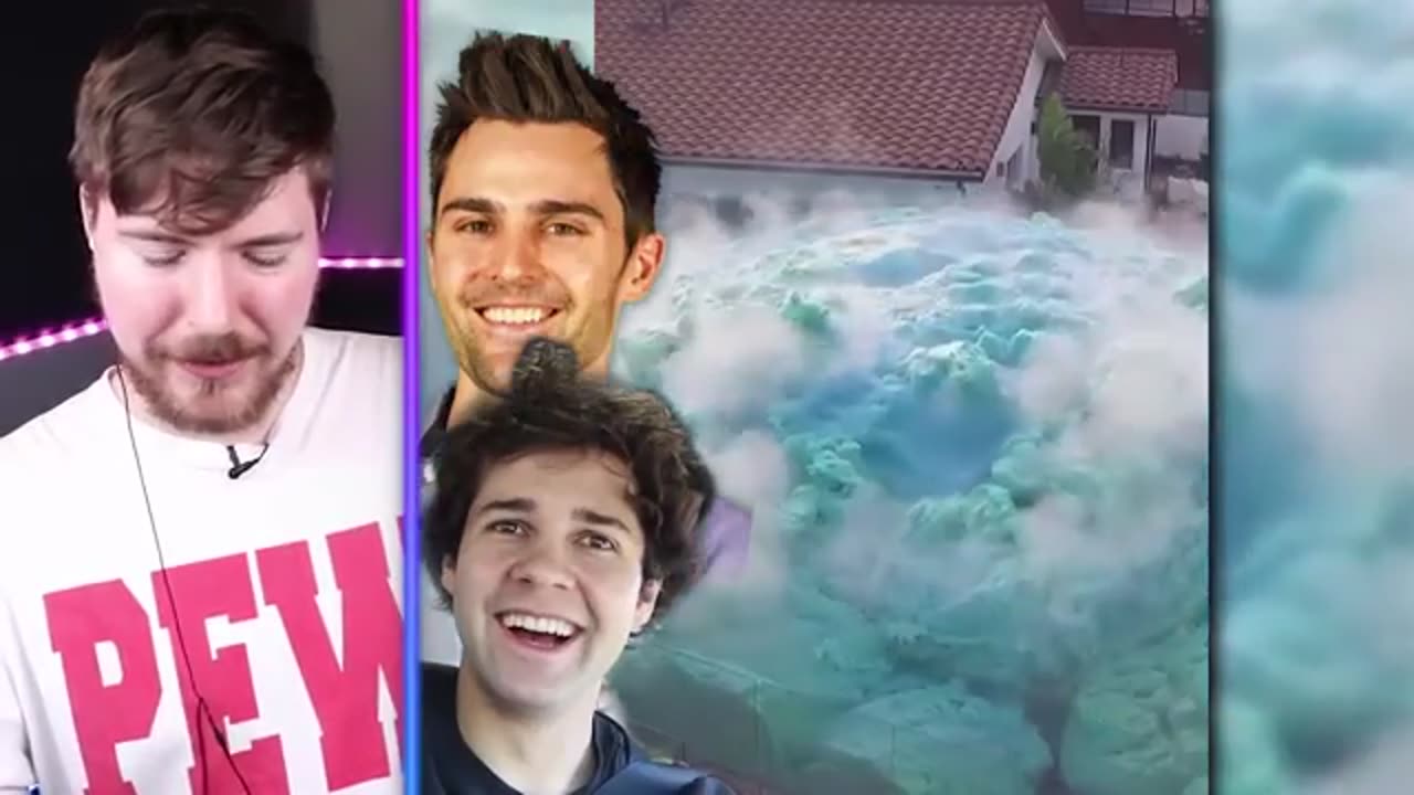 viral vine
