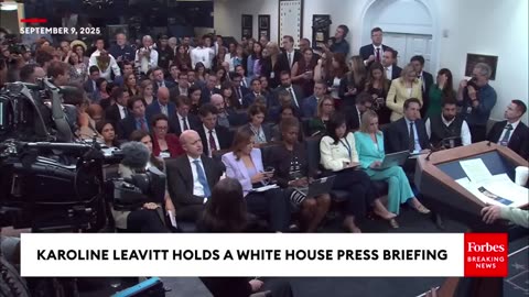 'We Want Americans To Have These Jobs': Karoline Leavitt Addresses Georgia Hyundai Plant ICE Raid
