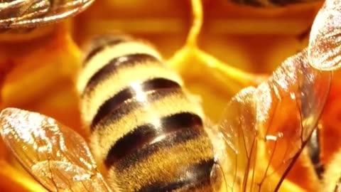 Best supplements for cognition. #health #healthy #healthadvice #reels #shorts