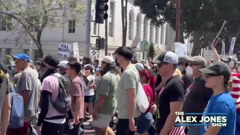 CIVIL WAR ALERT: Democratic Leaders Call For A Nationwide Uprising