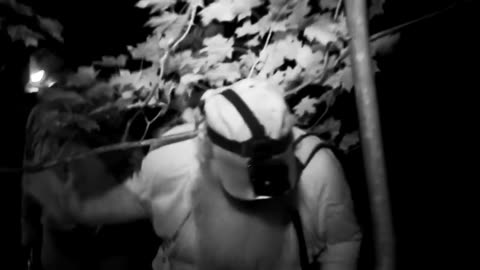 MOUNTAIN MONSTERS - PICKANINNY OF THE WOODS