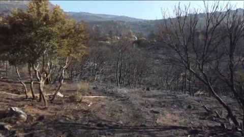 Fire devours Greek island's forests; residents urged to flee