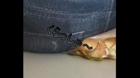 Butt Crushing Bread