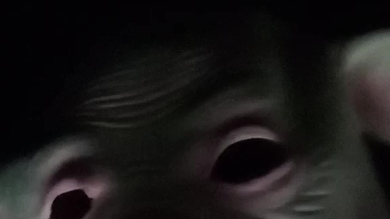 Piggy Son's Nightmare Seeing the Fort. Roof Version