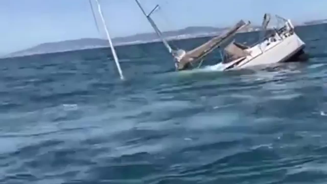 Killer whales attack boats off Portugal.