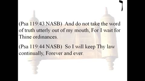 Psalms 119 pt. 4 – The Truth will set you free! As long as you abide within these parameters. 2023