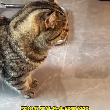 📹 Trending Chinese Viral Videos | Funny, Emotional & Shocking Moments