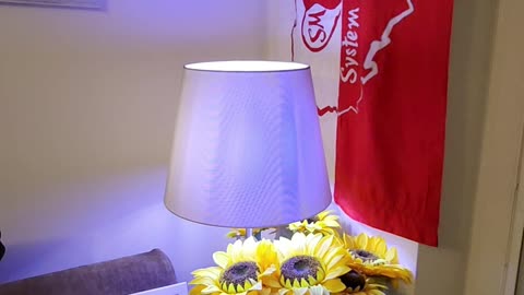 Nocna Wiesiorynka 8 maj 2025