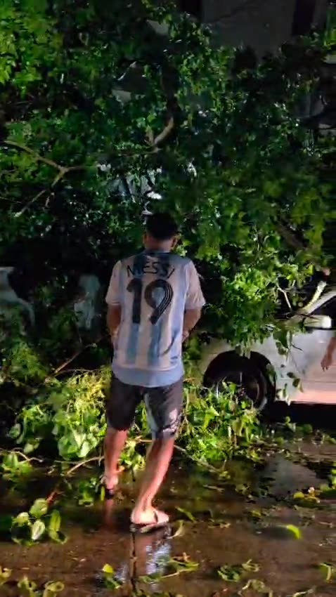 Árboles caídos Parque Heredia