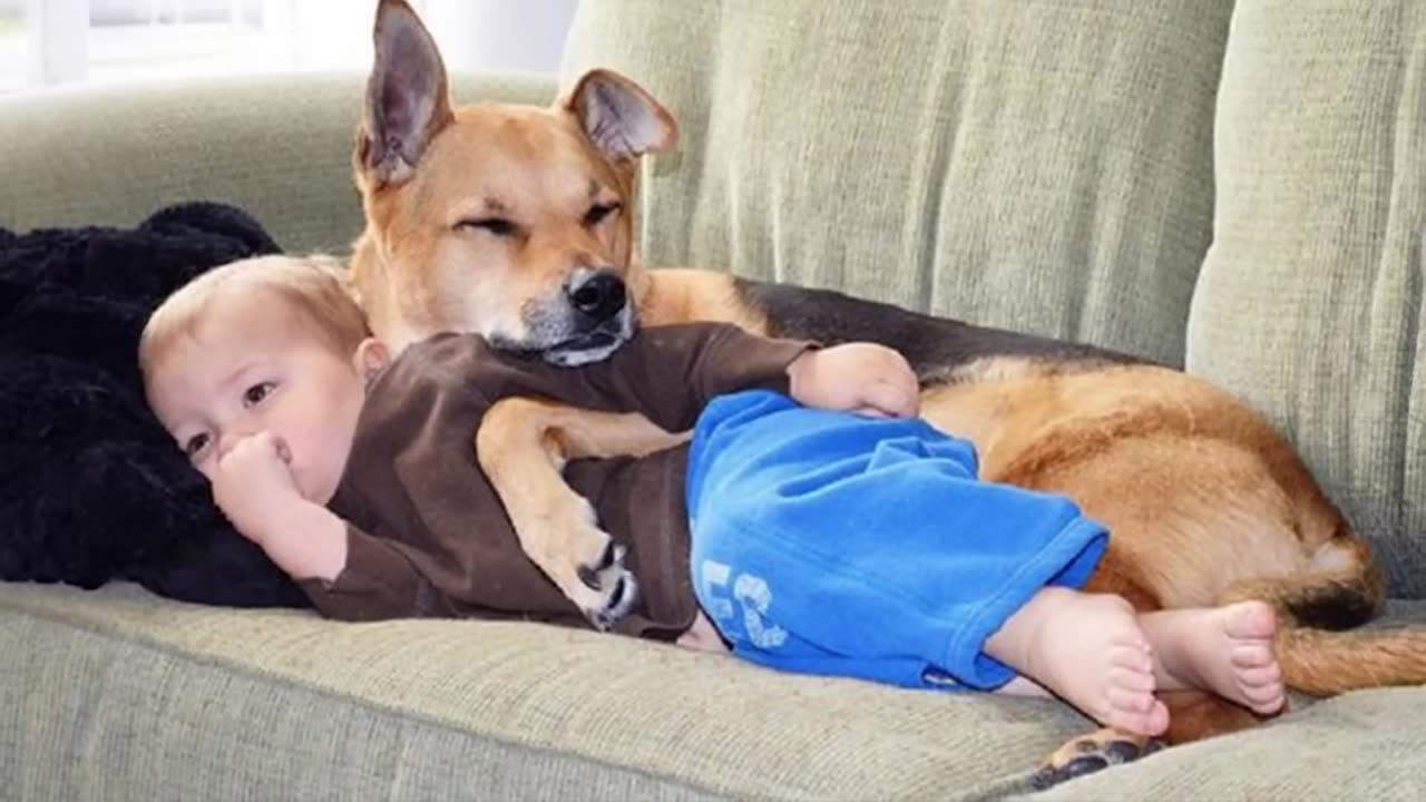 When_Your_Dog_Is_The_Most_Patient_Big_Brother_