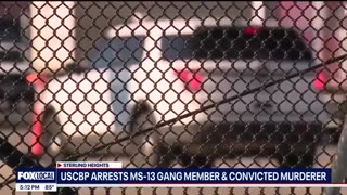 U.S. Border Patrol agents arrest confessed MS-13 gang member and murderer in Michigan