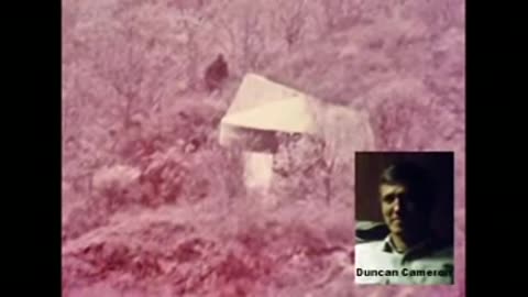 DUNCAN CAMERON - THE CHAIR and THE BEAST