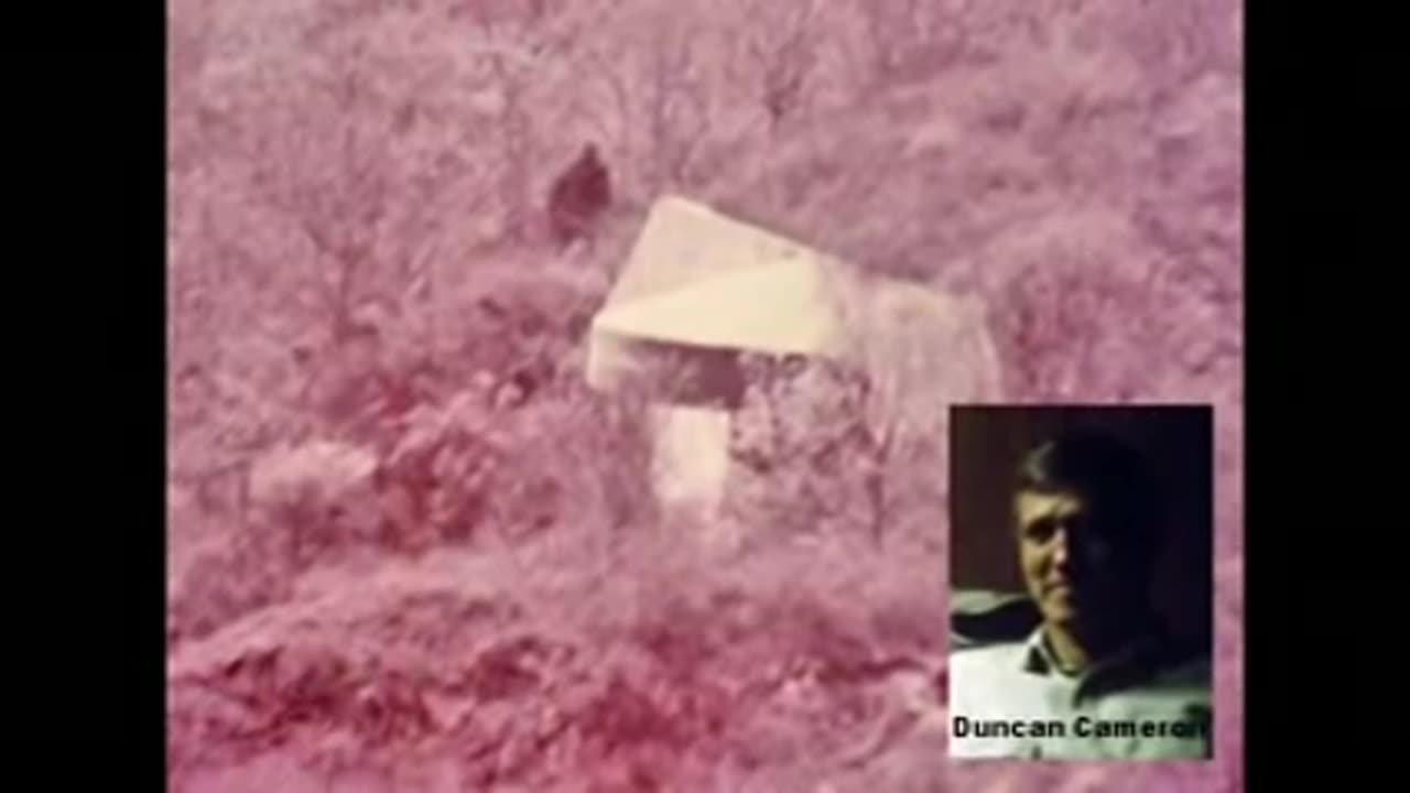 DUNCAN CAMERON - THE CHAIR and THE BEAST