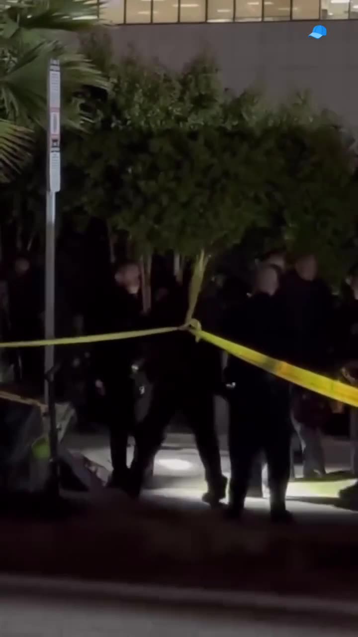 Los Angeles -Woman finds her family member deceased inside an encampment reportedly being eaten by dogs