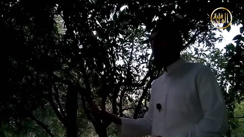 غير ذي عوج - الحلقة 12 سمعنا