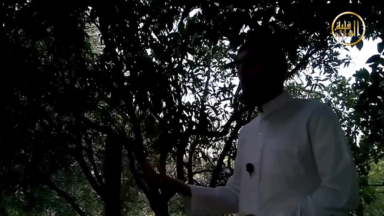 غير ذي عوج - الحلقة 12 سمعنا