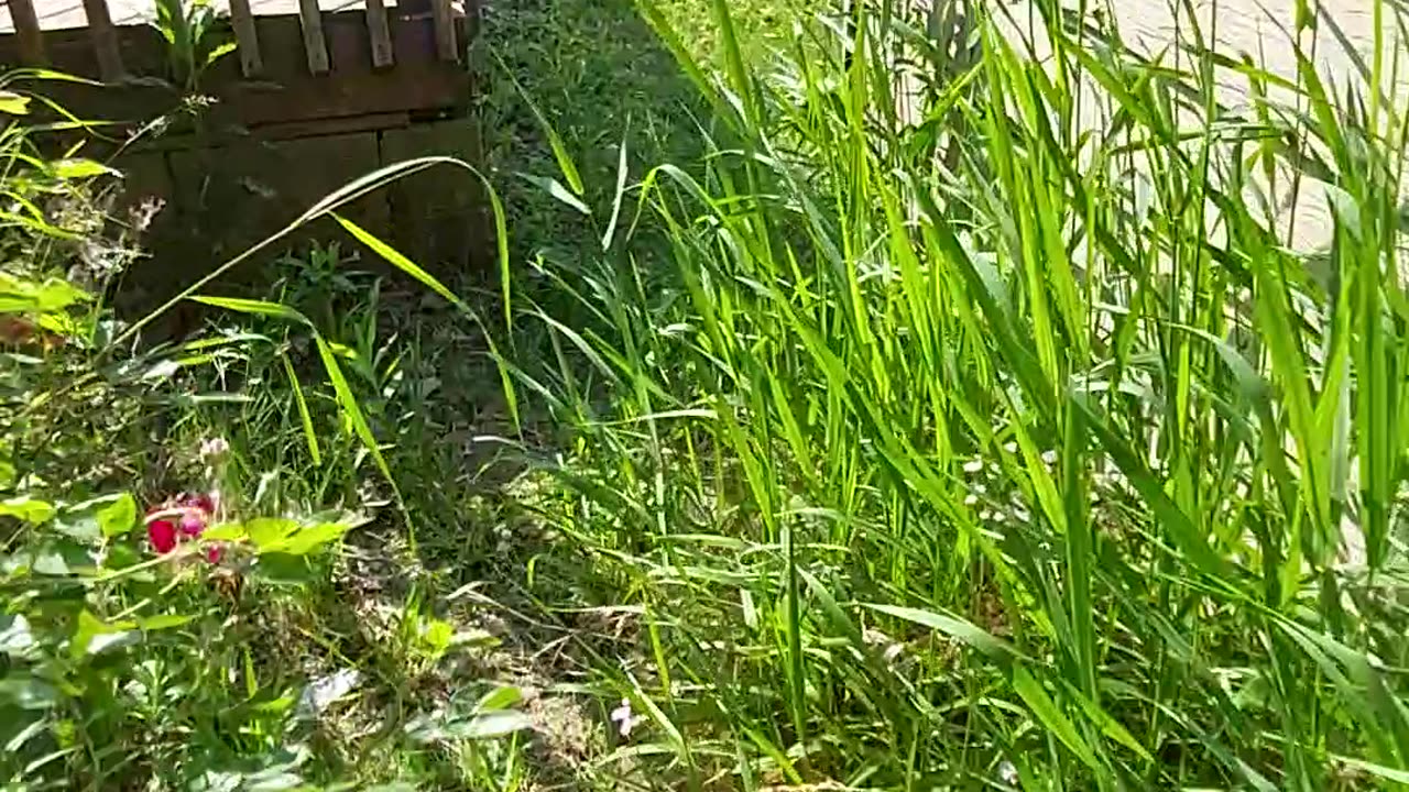 Wave jumping