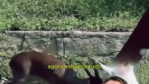 Lindo mais controla a temperatura usando nariz