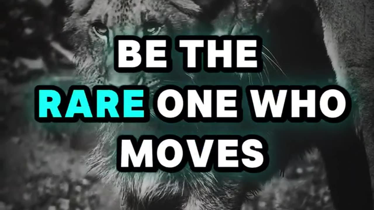 THE KING AND LION MINDSET.