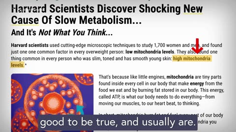 Mitolyn Results: I Lost [X] Pounds? (Mitolyn Reviews 2025-2026)