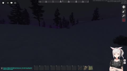 Who Gave The Cat a Gun