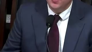 Curtis Schube Exposes the Blame Game: Dems, NGOs, and Censorship Uncovered!